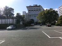 Medium_cimg0534