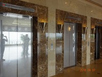 Medium_dsc00356