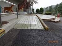Medium_dsc00485