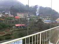 Medium_cimg0081