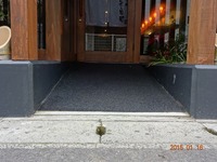 Medium_dsc00200