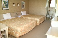 Medium_img_0105