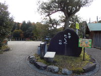 Medium_dscn3227