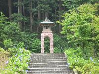 Medium_webimg_4253_30_21