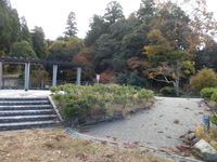 Medium_dscn3232