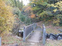Medium_dscn3233