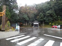 Medium_dscn3246