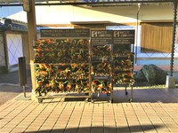 Medium_受付・貸出傘