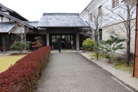 Medium_111