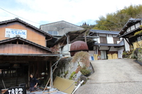 Medium_img_3718