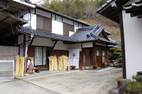 Medium_img_3636