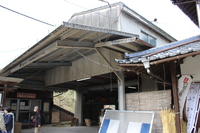 Medium_img_3681
