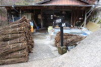 Medium_img_3692