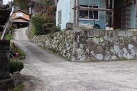 Medium_img_3722