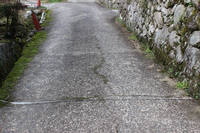 Medium_img_3724