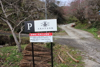 Medium_img_3721