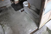 Medium_img_3705