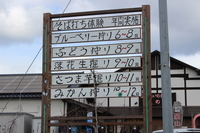 Medium_img_3607