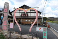 Medium_img_3609