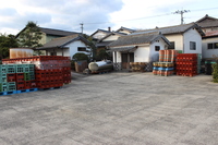 Medium_img_4314