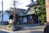 Medium_img_4247