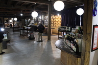 Medium_img_4274