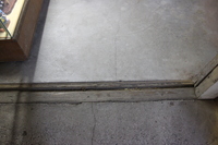 Medium_img_4272