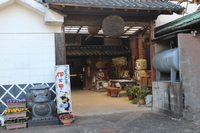 Medium_img_4246
