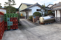 Medium_img_4315