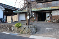 Medium_img_4322