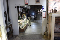 Medium_img_4273
