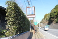 Thumb_img_4239