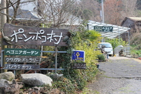 Medium_img_3868