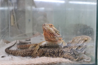 Medium_img_3809