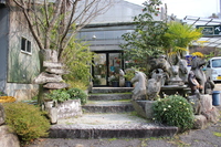 Medium_img_3862