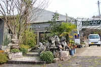 Medium_img_3863