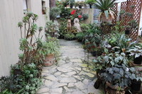 Medium_img_3758