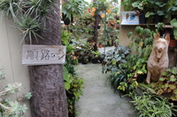Medium_img_3760
