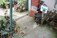 Medium_img_3778