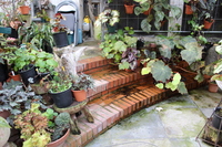 Medium_img_3773