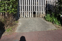 Medium_img_4183