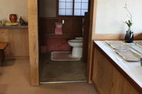 Medium_img_4206