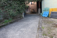 Medium_img_4318