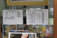 Medium_img_3565