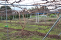 Thumb_img_3617