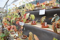 Thumb_img_3825