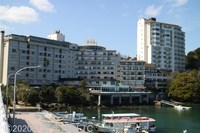 Medium_img_9337