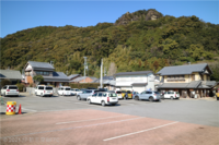 Medium_img_4778