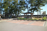 Medium_img_4776
