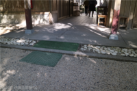 Medium_img_4771